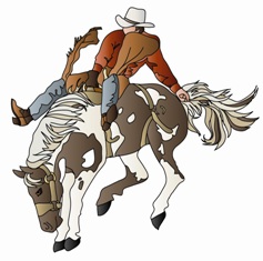 nfr20cowboy208.jpg